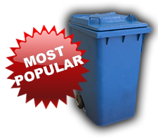 Quarterly Trash Can Cleaning Service